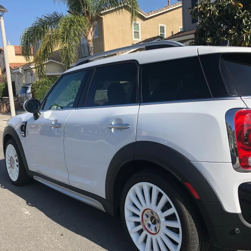 Auto Detailing