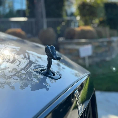Paint Correction Roll Royce